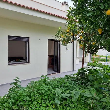 A Casa Di Papa By World